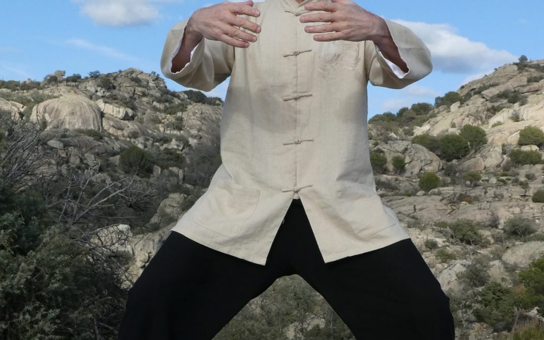 ARTICULO: CHI KUNG – LA ESENCIA DE LA VIDA