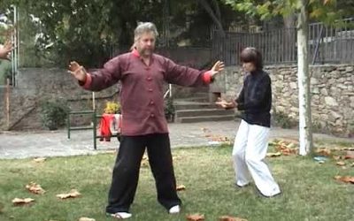 ARTICULO – LA PRÁCTICA Y LA ENSEÑANZA DEL QI GONG  –  ALAIN BAUDET