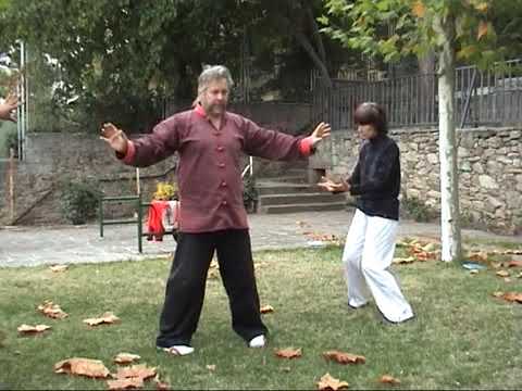 ARTICULO – LA PRÁCTICA Y LA ENSEÑANZA DEL QI GONG  –  ALAIN BAUDET