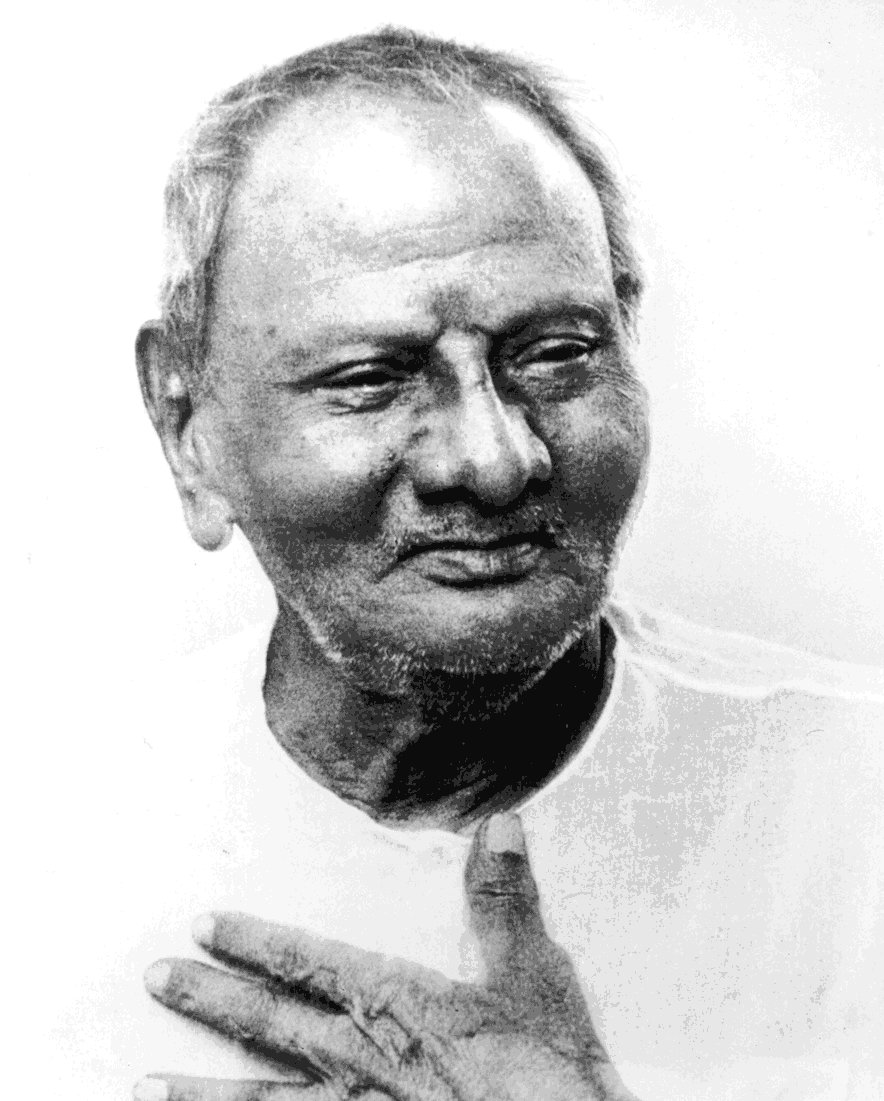 Artículo Janu Ruiz