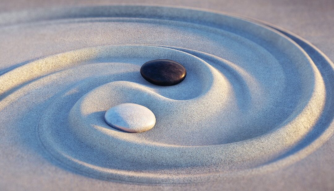 YIN y YANG
