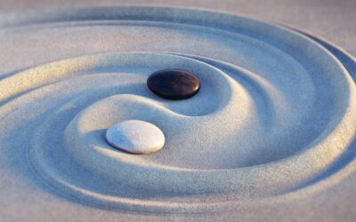 YIN y YANG